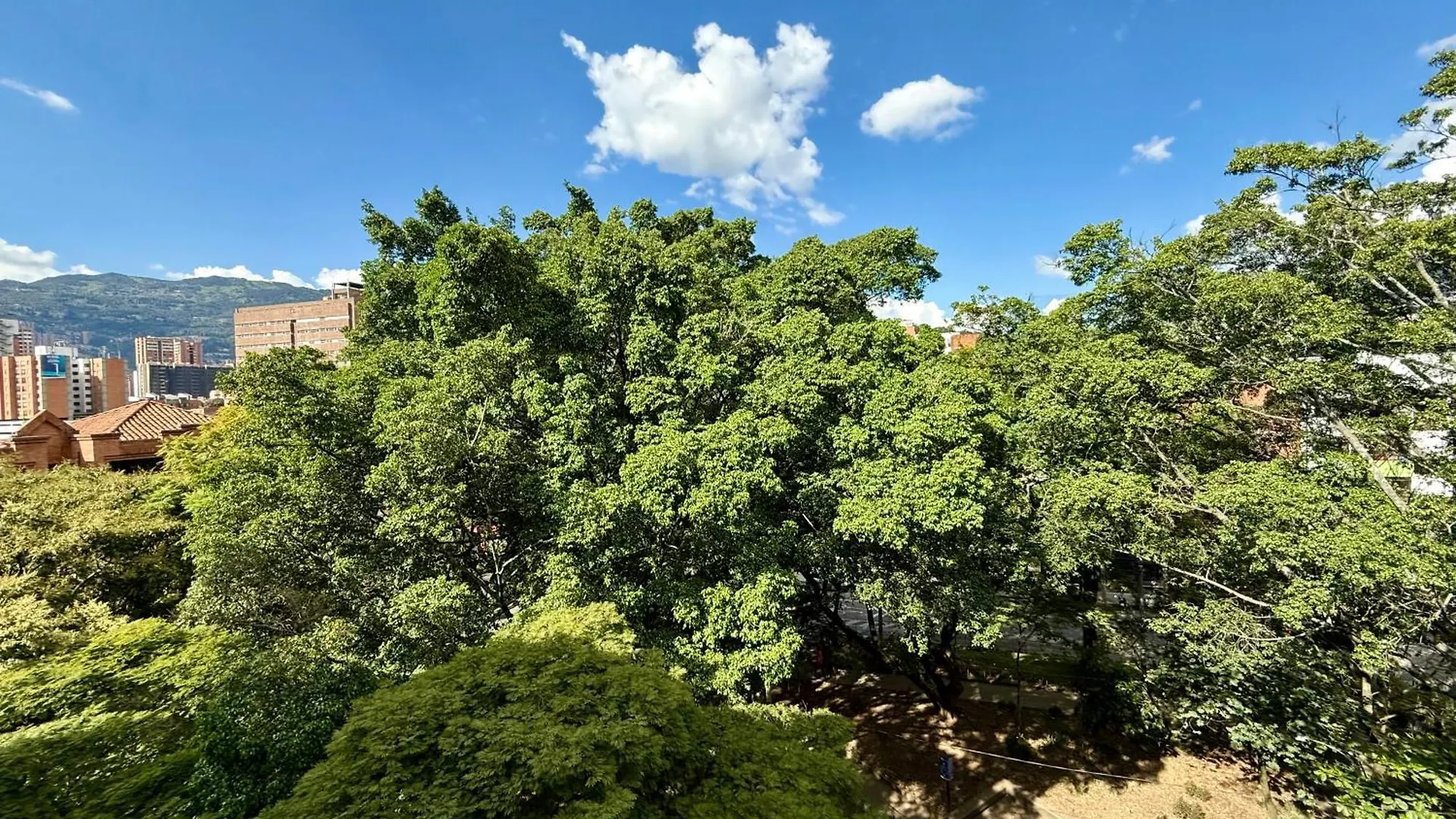 아파트호텔 Aparta Hotel Montes 메딜린